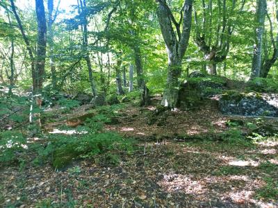 Прикрепленное изображение: 001.jpg